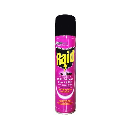 Raid Multipurpose Fast Acting Insect Killer